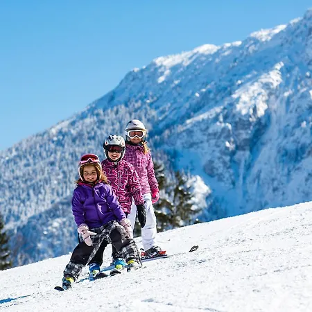Alp - Chiemgaukarte Inclusive Hotell