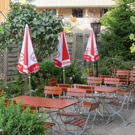 Hotell Alp - Chiemgaukarte Inclusive 3*
