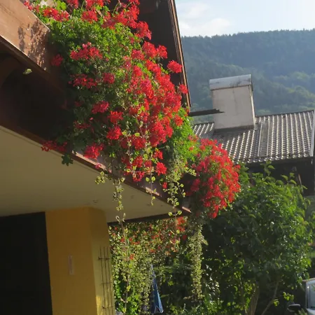 Alp - Chiemgaukarte Inclusive 酒店
