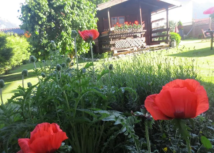 Alp - Chiemgaukarte Inclusive 3*