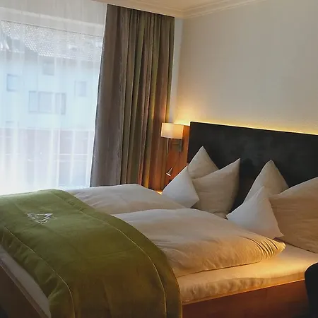 Hotel Alp 3*