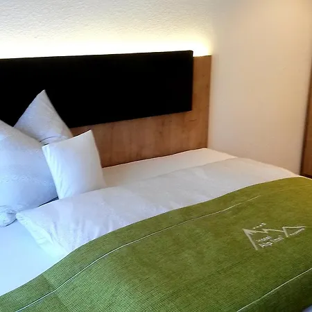 Hotel Alp 3*