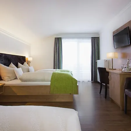 Alp Hotel 3*